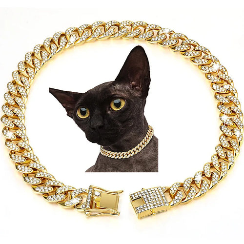 Cuban Link for Pets