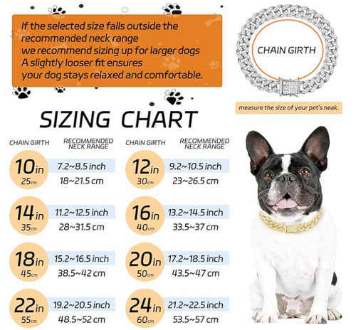 Cuban Link for Pets