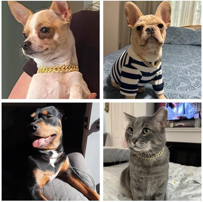Cuban Link for Pets